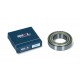 SKL BEARING 6006 ZZ