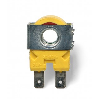 T&P COIL VALVE 24V 50/60HZ