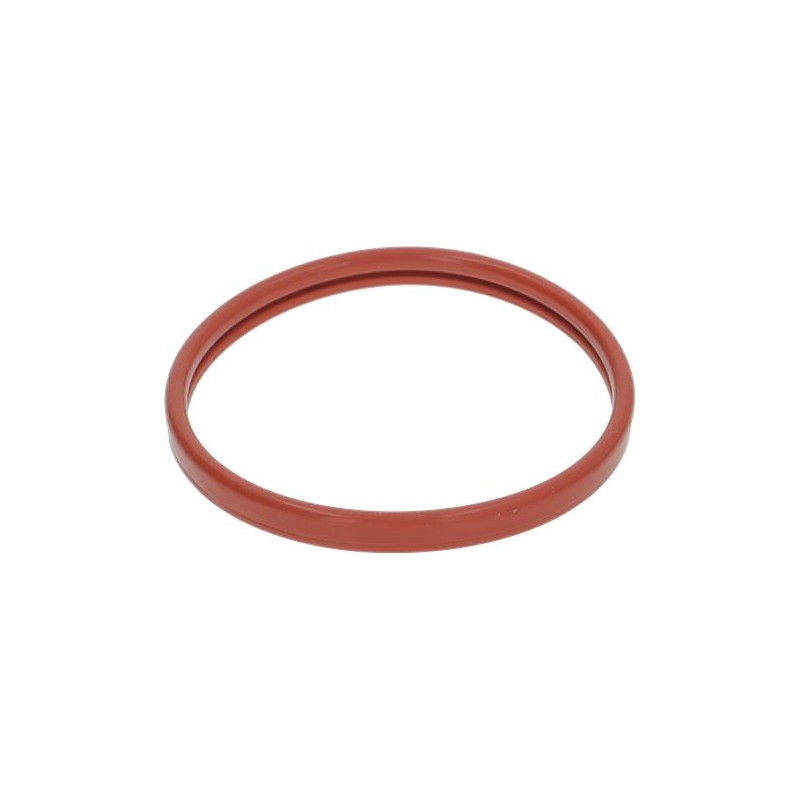 SAECO 996530015878 FILTER HOLDER CONVEYOR SEAL