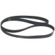 CONTINENTAL GIRBAU 319855 BELT