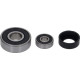 ROBOT COUPE 89507 MOTOR BEARINGS KIT