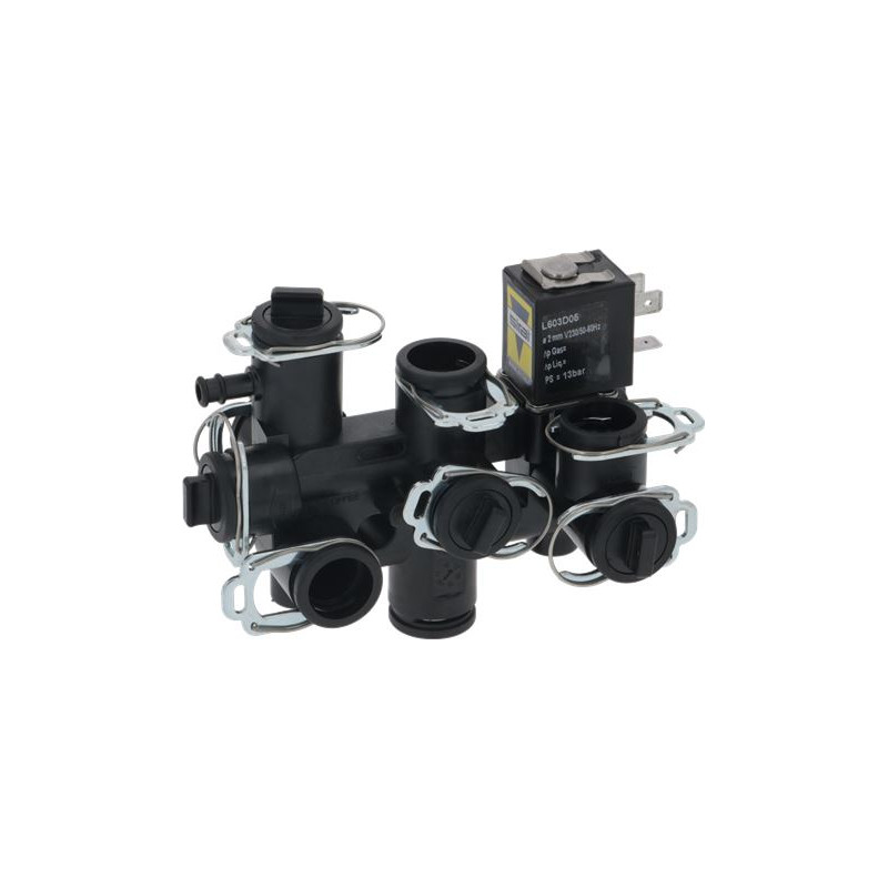 RANCILIO 10701936 HYDRAULIC MODULE 2015 230V