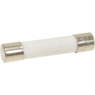 QUICK ACTING FUSE 500V 1A