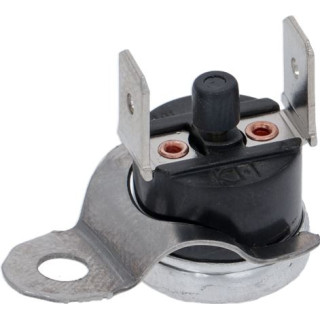SILANOS 4913 CONTACT THERMOSTAT 100°C